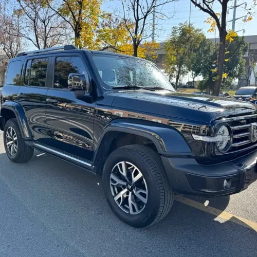 Used GWM Tank 300 2023 City Edition 2.0T Very Stylish