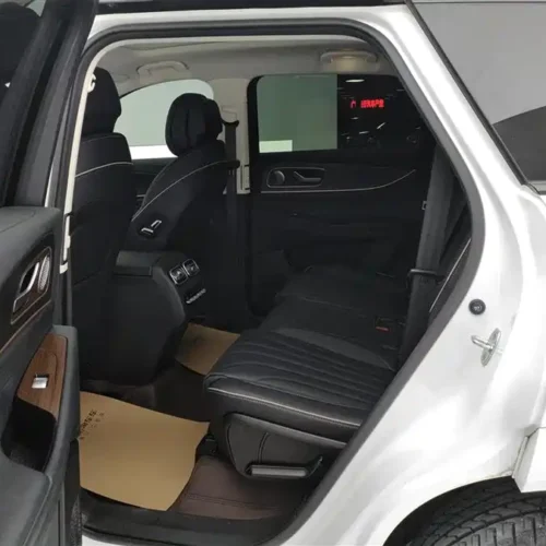 Used Tiggo 9 2023 2.0T dual-clutch two-wheel drive luxury version 7 seats