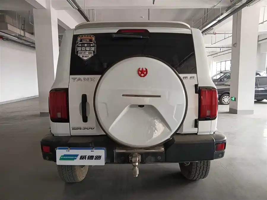900x675_0_q87_c42_autohomecar__Chto52lXoD6AYcsIAAF0t4CJy90973.jpg.webp Used GWM Tank 300 2021 Off-Road Version 2.0T Conqueror