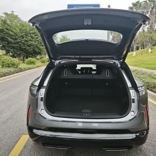 900x675_0_q87_c42_autohomecar__ChtpWGkJq5-AKB7DAAle5thMvfs899.jpg.webp Used Avita 07 2024 Max extended range version