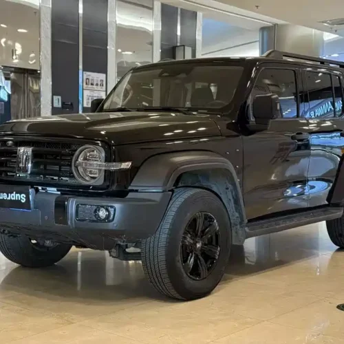 900x675_0_q87_c42_autohomecar__ChxpV2k2fZyAW-6vAAO1IIWvZS8247.jpg.webp Used GWM Tank 300 2023 Off-Road Version 2.0T Conqueror