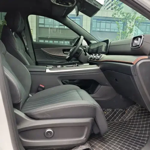 Used Tiggo 9 2025 2.0T dual-clutch two-wheel drive luxury version 7 seats
