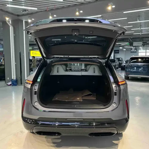 Used Avita 07 2024 Max pure electric version