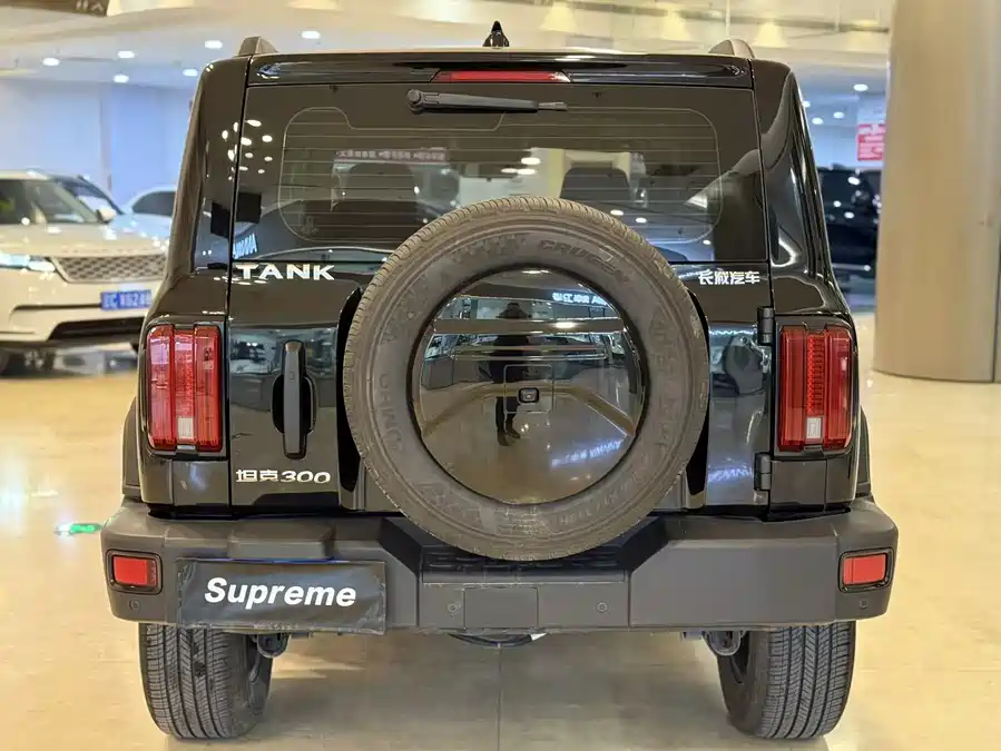 900x675_0_q87_c42_autohomecar__ChxpVWk2faCAJXLjAANRfyVOUPw831.jpg.webp Used GWM Tank 300 2023 Off-Road Version 2.0T Conqueror