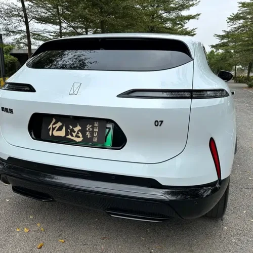 900x675_0_q87_c42_autohomecar__ChxpVWkcGImAMzTlAA49H4c97HM427.jpg.webp Used Avita 07 2024 Max extended range version