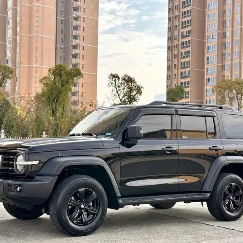 900x675_0_q87_c42_autohomecar__ChxpVWkimUCAA8GDAA5EXmJPIvk273.jpg.webp Used GWM Tank 300 2023 Off-Road Version 2.0T Conqueror