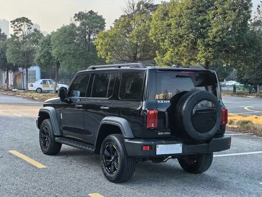 900x675_0_q87_c42_autohomecar__ChxpVWlMm4SAJueCABDowFEsIeE953.jpg.webp Used GWM Tank 300 2023 Off-Road Version 2.0T Conqueror