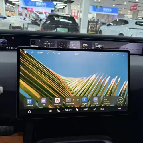 900x675_0_q87_c42_autohomecar__ChxpVWlQ0ouANnkLAALww6GI9Fc433.jpg.webp Used Avita 07 2024 Max extended range version