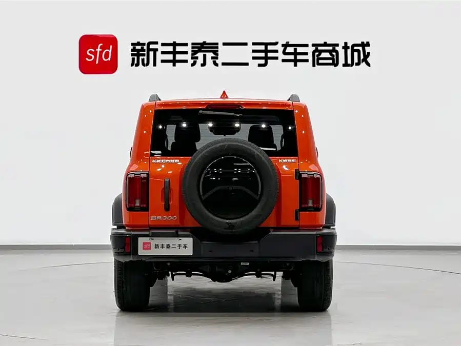 900x675_0_q87_c42_autohomecar__ChxpVWlUlJuAVbD4AAEuaUXK6YY053.jpg.webp Used GWM Tank 300 2024 2.0T Conqueror