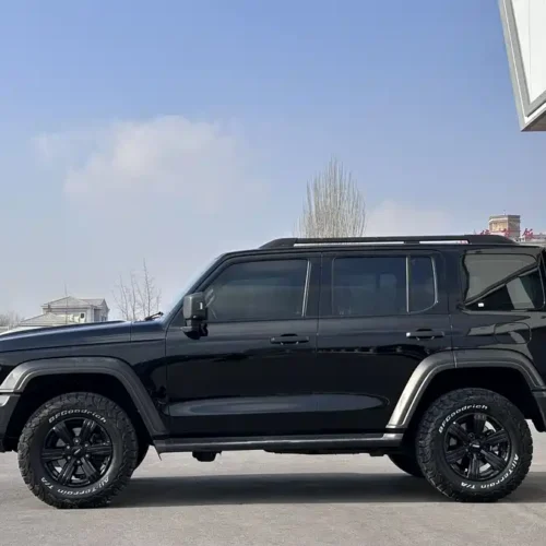 900x675_0_q87_c42_autohomecar__ChxpVWlbZiGALrPyAAQr-utLUz4351.jpg.webp Used GWM Tank 300 2021 Off-Road Version 2.0T Challenger