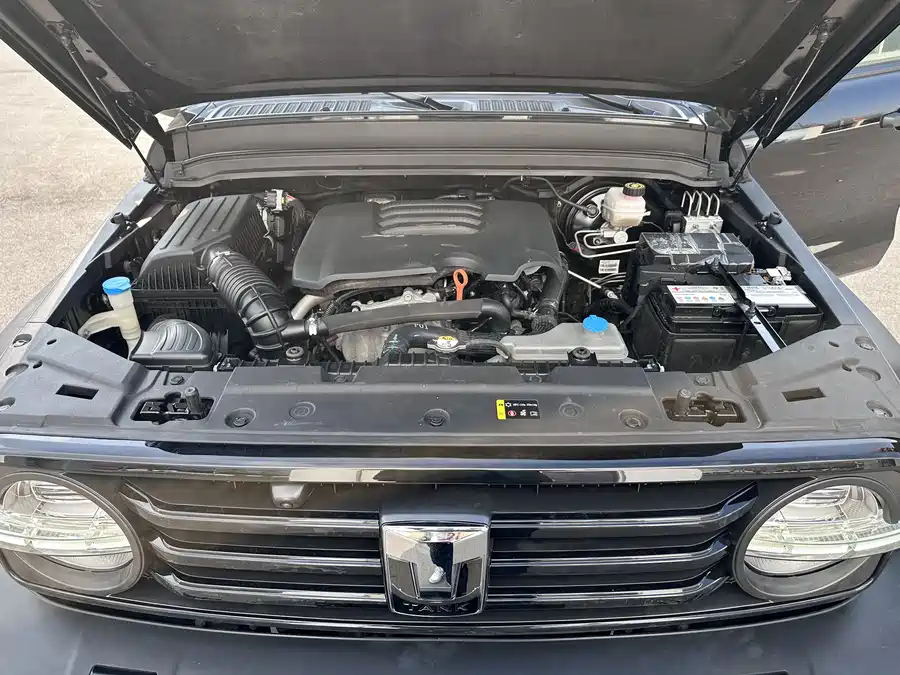 900x675_0_q87_c42_autohomecar__ChxpVWlbZiaAZAAxAAf12p0EyEk279.jpg.webp Used GWM Tank 300 2021 Off-Road Version 2.0T Challenger