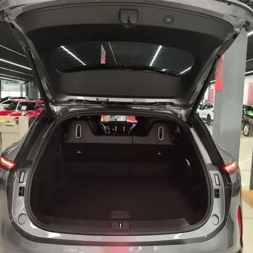 900x675_0_q87_c42_autohomecar__ChxpVWlfGuCAbWb4AAHlzpZtSus708.jpg.webp Used Avita 07 2024 Max extended range version