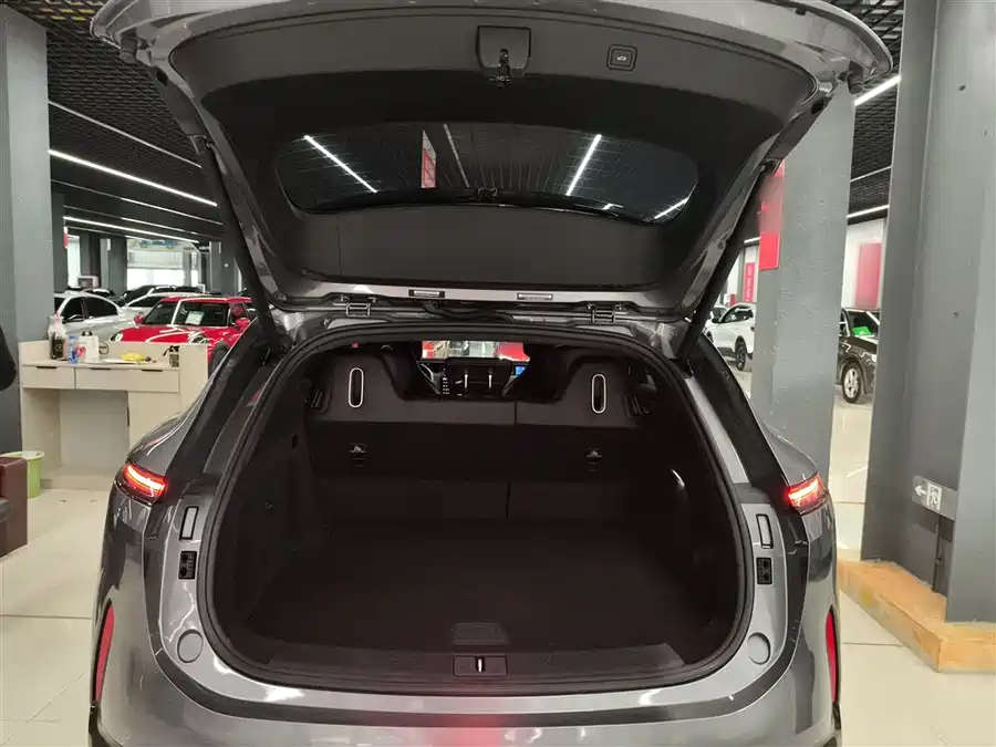 900x675_0_q87_c42_autohomecar__ChxpVWlfGuCAbWb4AAHlzpZtSus708.jpg.webp Used Avita 07 2024 Max extended range version