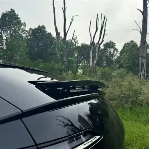 900x675_0_q87_c42_autohomecar__ChxpVmk8Bc-AWp7RAAHvz4kx-gs880.jpg.webp Used Avita 12 2025 Max extended range version