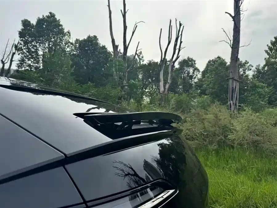 900x675_0_q87_c42_autohomecar__ChxpVmk8Bc-AWp7RAAHvz4kx-gs880.jpg.webp Used Avita 12 2025 Max extended range version