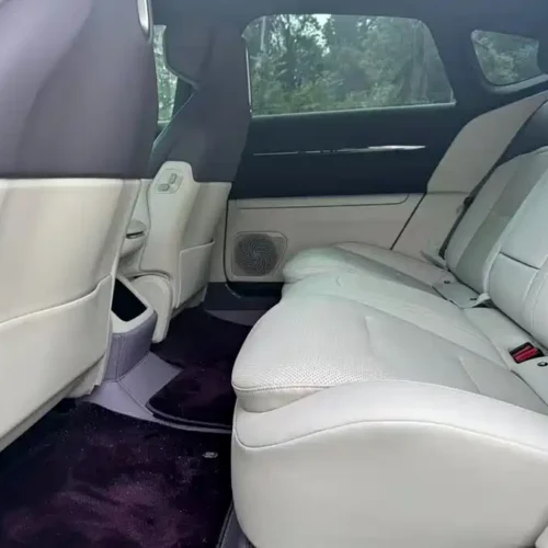 900x675_0_q87_c42_autohomecar__ChxpVmk8BdGAIe_9AAFDYojyDWQ709.jpg.webp Used Avita 12 2025 Max extended range version