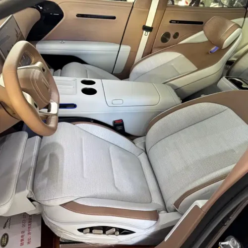 900x675_0_q87_c42_autohomecar__ChxpVmkVh-mAaCYuAAlOgB5VjqY409.jpg.webp Used Avita 07 2024 Max extended range version