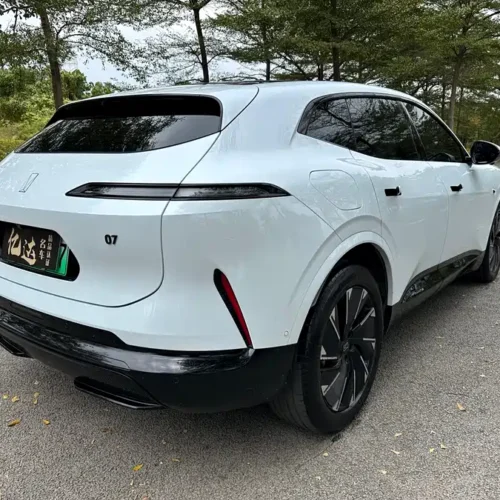 900x675_0_q87_c42_autohomecar__ChxpVmkcGIiAZ9omABAgjDwPvec826.jpg.webp Used Avita 07 2024 Max extended range version