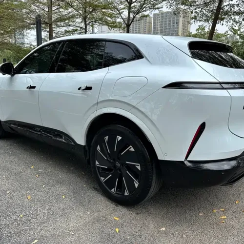 900x675_0_q87_c42_autohomecar__ChxpVmkcGIuAaMghABCwuTp5Km8152.jpg.webp Used Avita 07 2024 Max extended range version