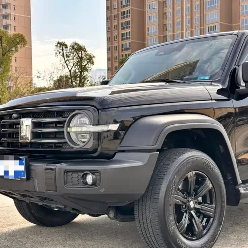 900x675_0_q87_c42_autohomecar__ChxpVmkimUSAJcp3AAxV9dqxYdw321.jpg.webp Used GWM Tank 300 2023 Off-Road Version 2.0T Conqueror