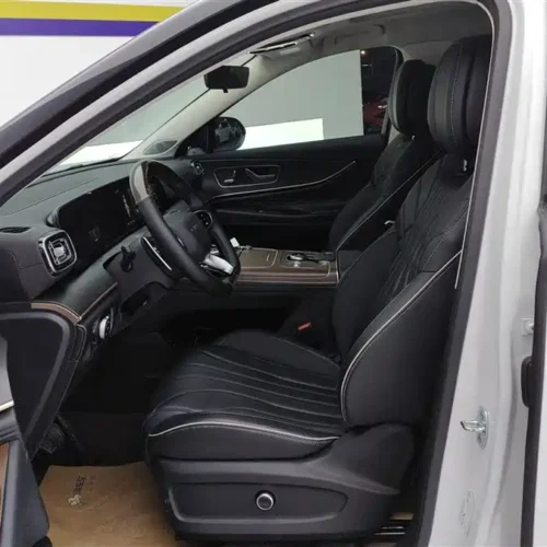 Used Tiggo 9 2023 2.0T dual-clutch two-wheel drive luxury version 7 seats