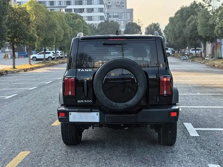 900x675_0_q87_c42_autohomecar__ChxpVmlMm4SAbbwDAA7jDX4genc845.jpg.webp Used GWM Tank 300 2023 Off-Road Version 2.0T Conqueror