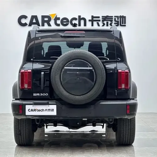 Used GWM Tank 300 2024 2.0T Conqueror