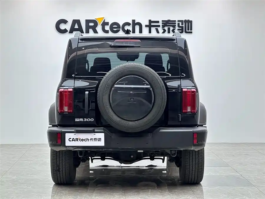 Used GWM Tank 300 2024 2.0T Conqueror