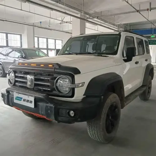 900x675_0_q87_c42_autohomecar__ChxpVmlXoD6AXEdRAAHdpy1GEK4587.jpg.webp Used GWM Tank 300 2021 Off-Road Version 2.0T Conqueror