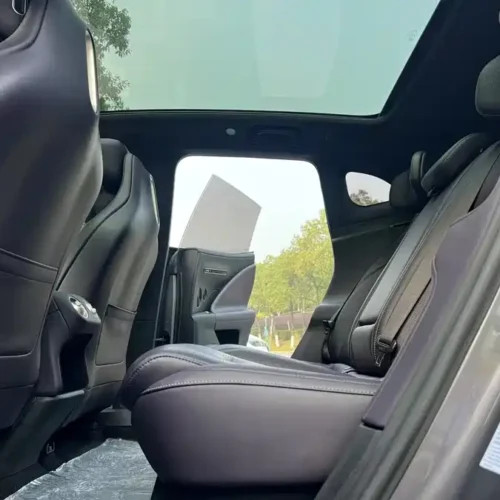 900x675_0_q87_c42_autohomecar__ChxpWGk2bcWAIYkJAAI-xRisSNw796.jpg.webp Used Avita 07 2024 Max extended range version