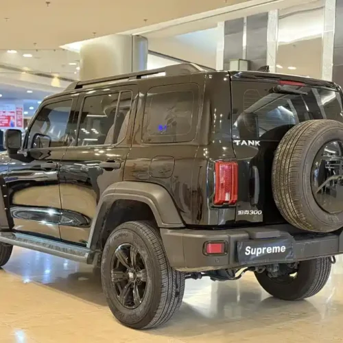 900x675_0_q87_c42_autohomecar__ChxpWGk2faCASsQEAAP2ToBO_Bk161.jpg.webp Used GWM Tank 300 2023 Off-Road Version 2.0T Conqueror