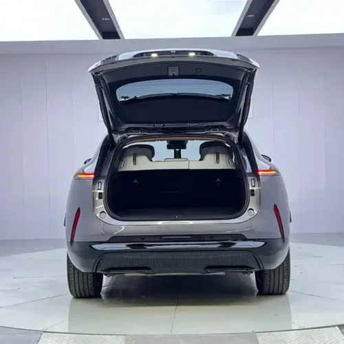 900x675_0_q87_c42_autohomecar__ChxpWGkG7t-AS1dFAAFVnr6_dnY993.jpg.webp Used Avita 07 2024 Max extended range version