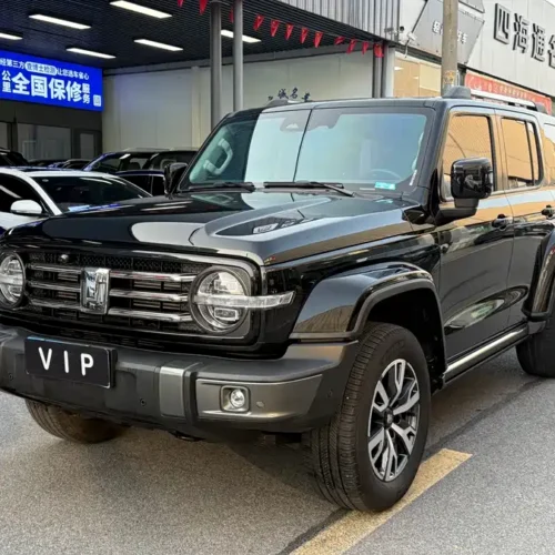 900x675_0_q87_c42_autohomecar__ChxpWGlN6JeAYn_PAA1A-bxEFg4717.jpg.webp Used GWM Tank 300 2021 City Edition 2.0T Very Stylish