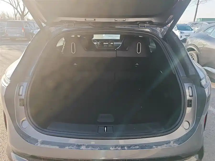 900x675_0_q87_c42_autohomecar__ChxpWGlfFgyAXO81AAFrOrYhpRo100.jpg.webp Used Avita 07 2024 Max extended range version