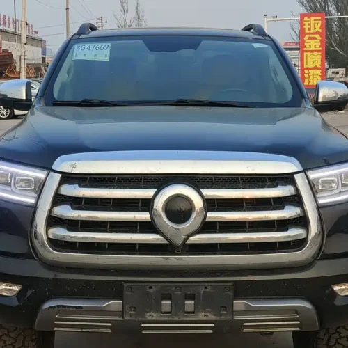Used GWM Cannon 2021 2.0T passenger global version automatic gasoline four-wheel drive sports standard box GW4C20B