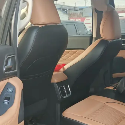 Used GWM Cannon 2021 2.0T passenger global version automatic gasoline four-wheel drive sports standard box GW4C20B
