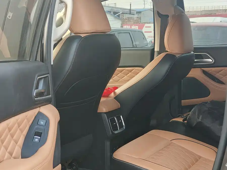 Used GWM Cannon 2021 2.0T passenger global version automatic gasoline four-wheel drive sports standard box GW4C20B