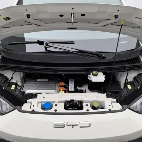 Used BYD Seagull 2023 Flying Edition