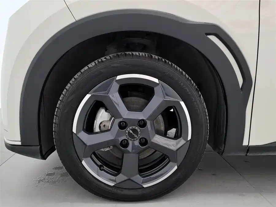 Used BYD Seagull 2023 Flying Edition