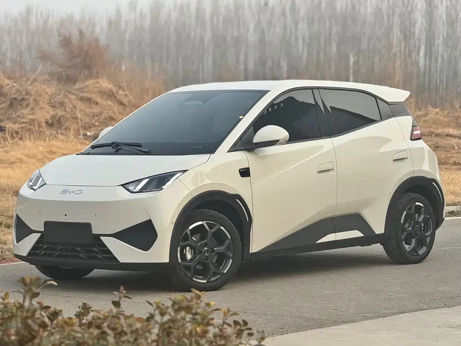 Used BYD Seagull 2025 smart driving version 305km free version