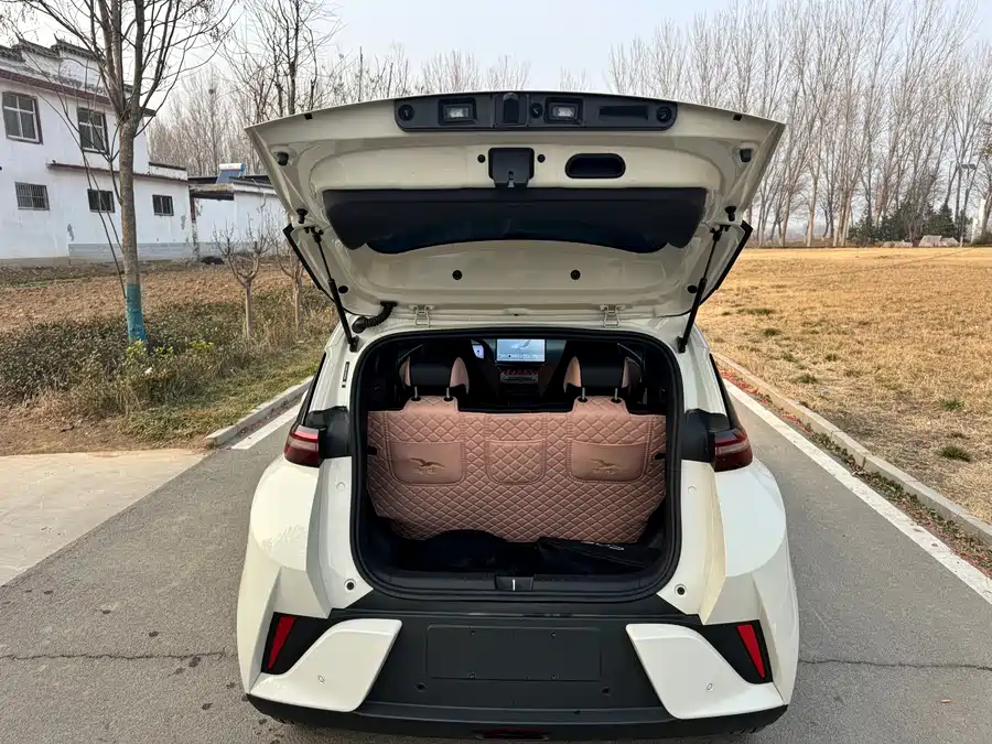 Used BYD Seagull 2025 smart driving version 305km free version