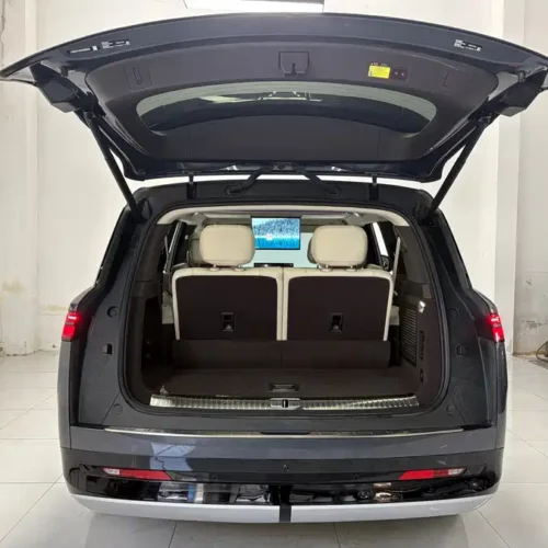 Used Denza N9 2025 flagship model