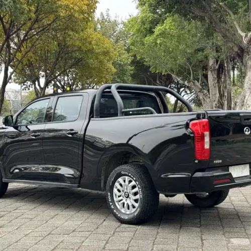 Used GWM Cannon 2019 2.0T commercial version manual gasoline two-wheel drive elite long box GW4C20B