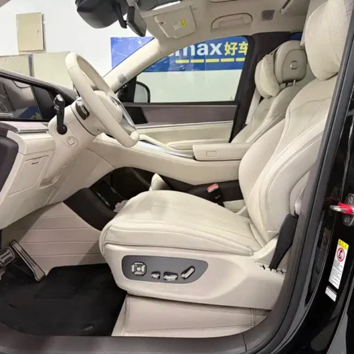 Used Denza N9 2026 Zunyue model