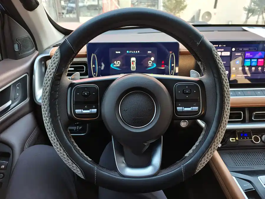 Used GWM Cannon 2023 2.0T passenger version automatic gasoline four-wheel drive exclusive model GW4C20B