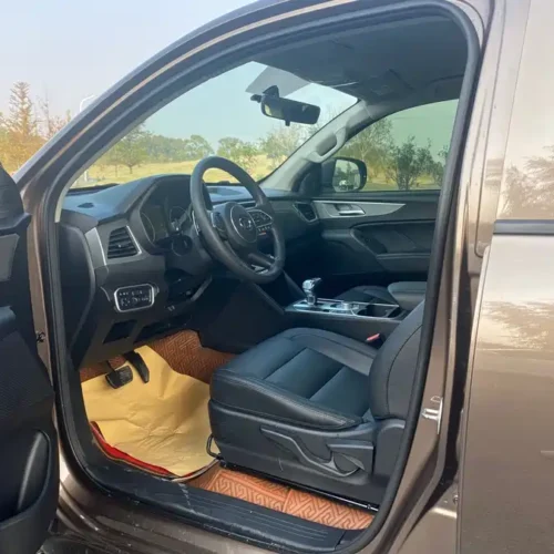 Used GWM Cannon 2019 2.0T commercial version automatic gasoline two-wheel drive elite long box GW4C20B