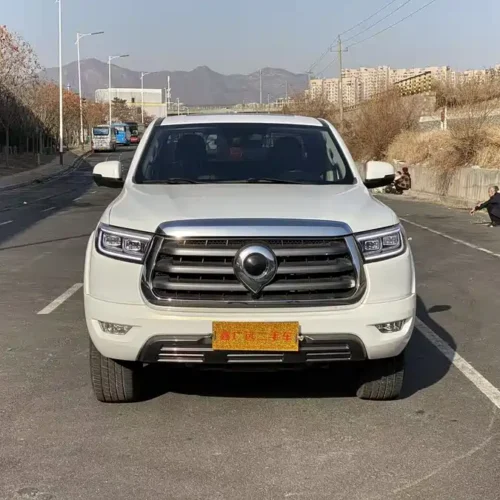 900x675_0_q87_c42_autohomecar__ChtpWGkiu3aAPWFlAAW8kv3TkSo599.jpg.webp Used GWM Cannon 2021 2.0T Passenger Global Version Automatic Gasoline Two-wheel Drive Comfort Standard Box GW4C20B