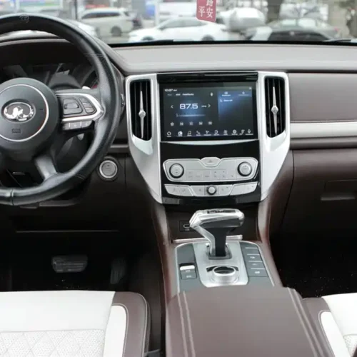 Used GWM Cannon 2019 2.0T automatic gasoline four-wheel drive exclusive version GW4C20B