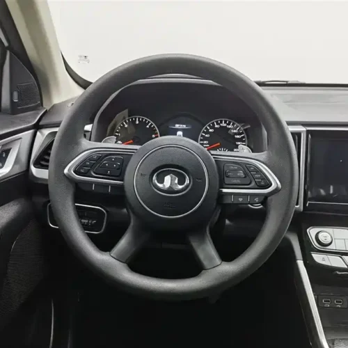Used GWM Cannon 2021 2.0T commercial version automatic diesel two-wheel drive elite long box GW4D20M