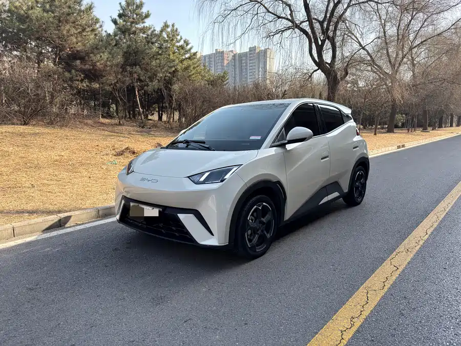 Used BYD Seagull 2023 Free Edition